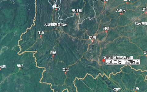 三七粉價格，三七花價格，三七的功效